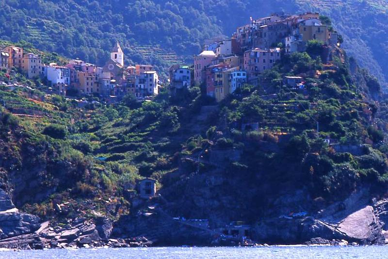 3-Corniglia,10 agosto 2008.jpg
